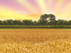 开云真人娱乐平台基地展示3